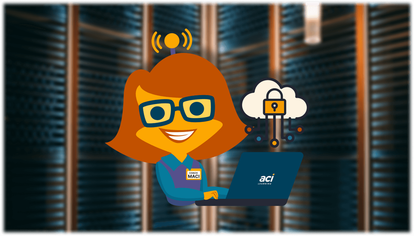 coach maci working in server room